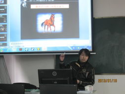 計(jì)算機(jī)組教師參加動(dòng)漫專題培訓(xùn)，探索技術(shù)與藝術(shù)的融合新路徑